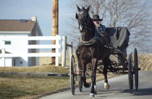 Read more about the article Learn from the Amish