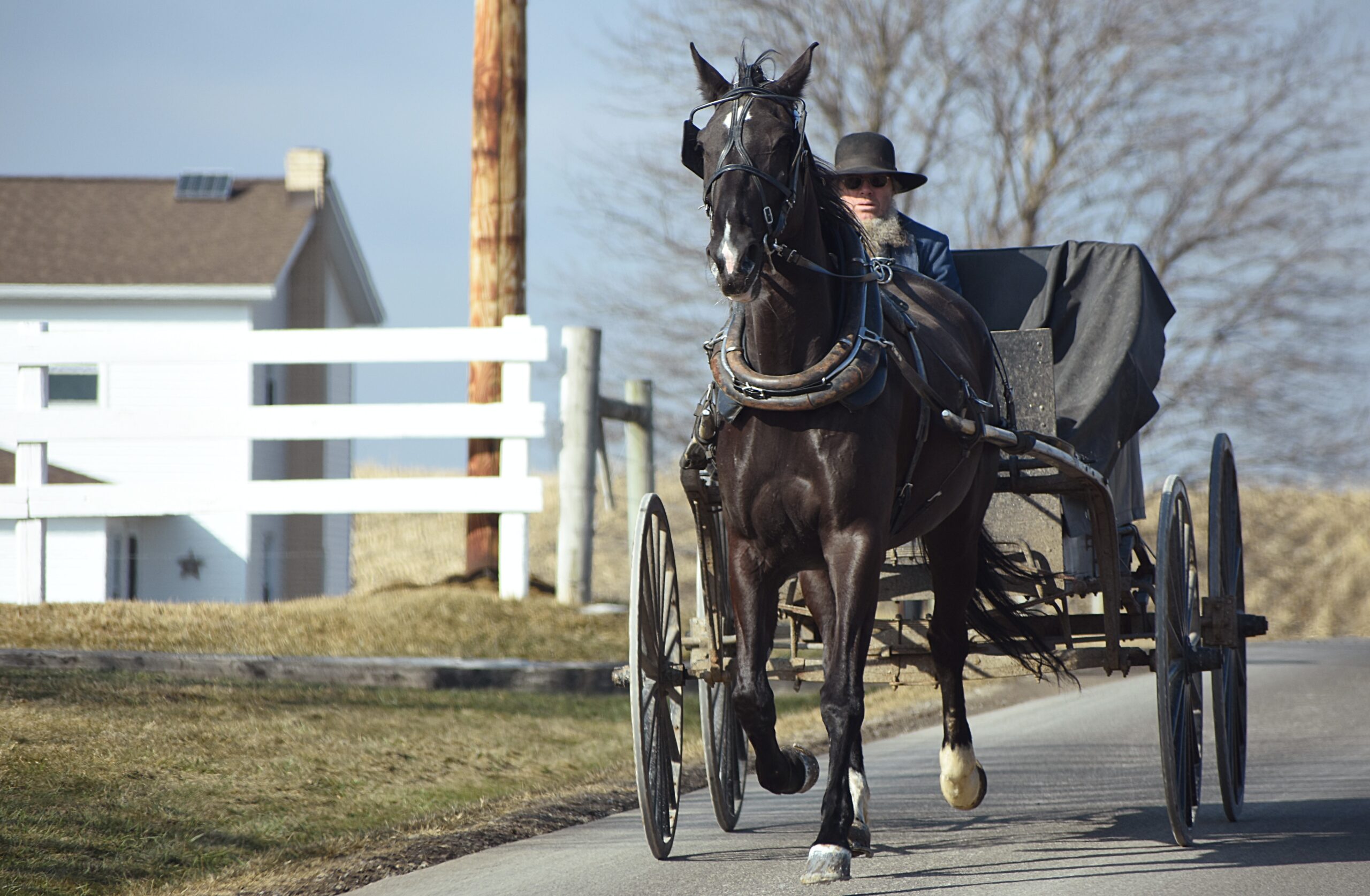 Read more about the article Learn from the Amish