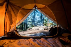 Read more about the article The great outdoors