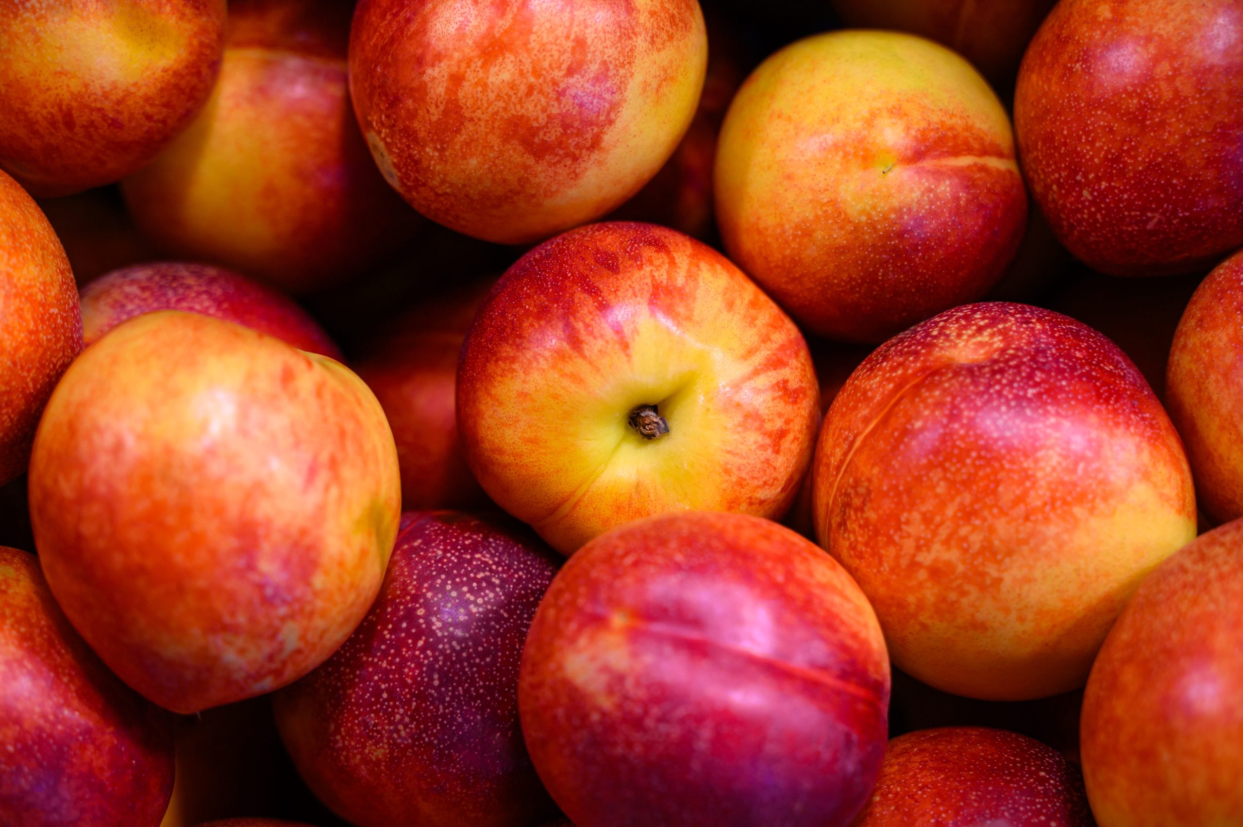 Read more about the article Nectarines