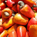 Cashews