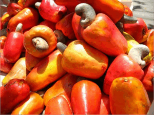 Read more about the article Cashews