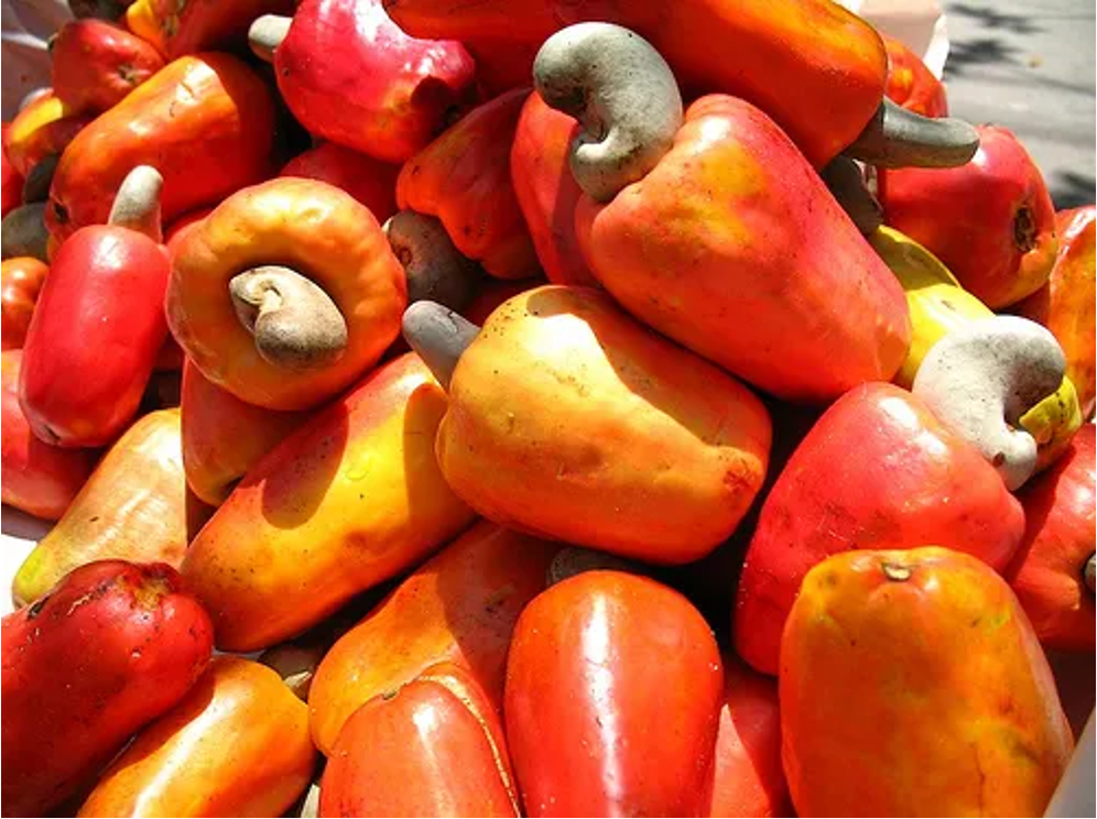 Read more about the article Cashews