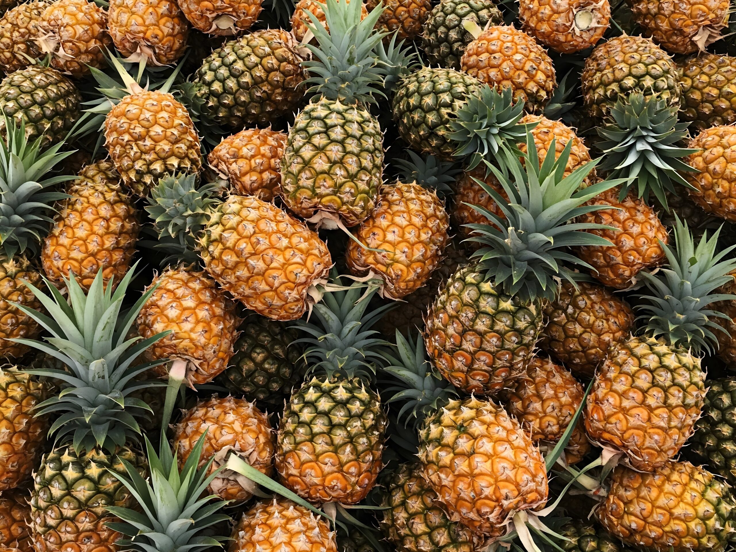 Read more about the article Pineapple