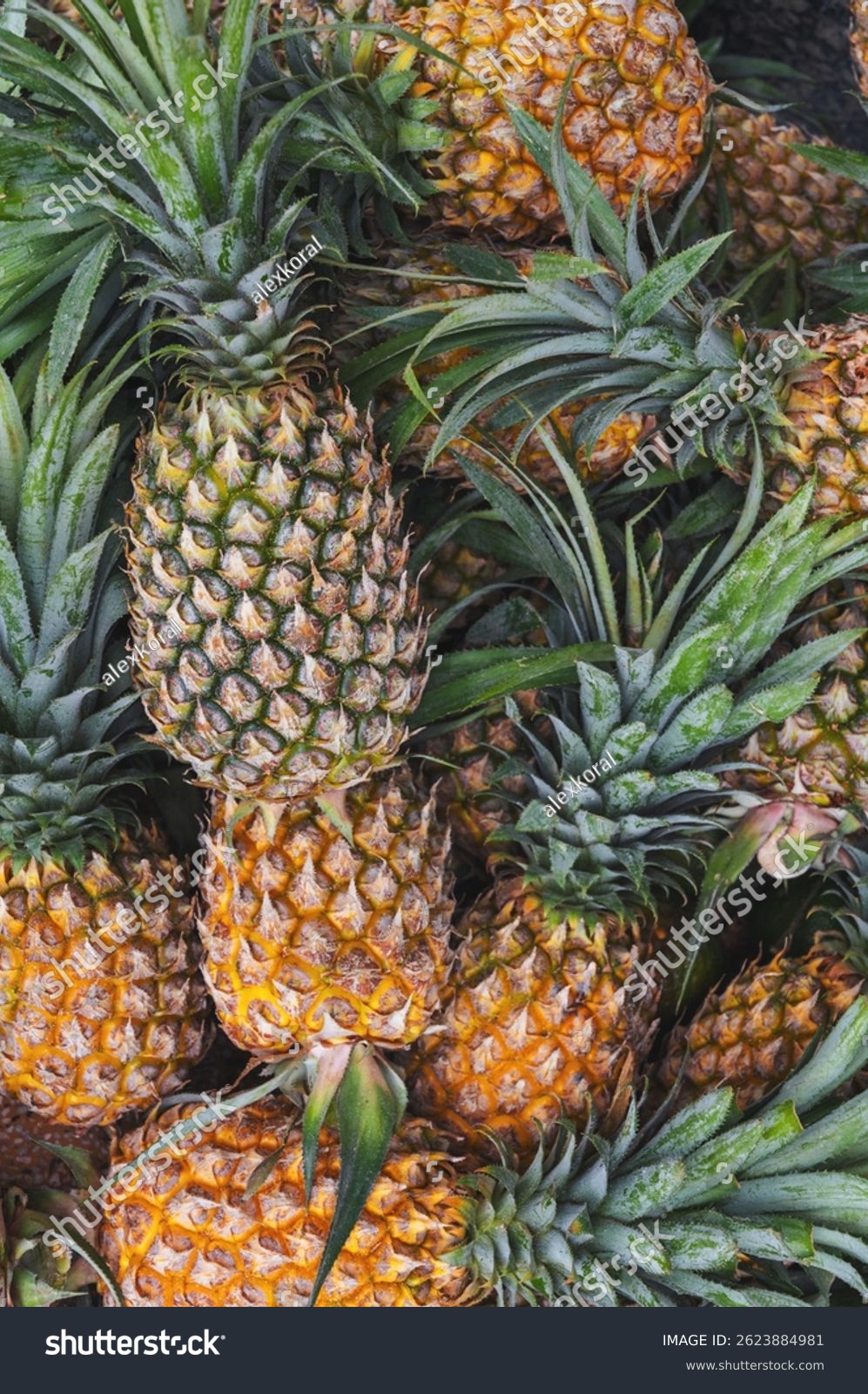Read more about the article Pineapple