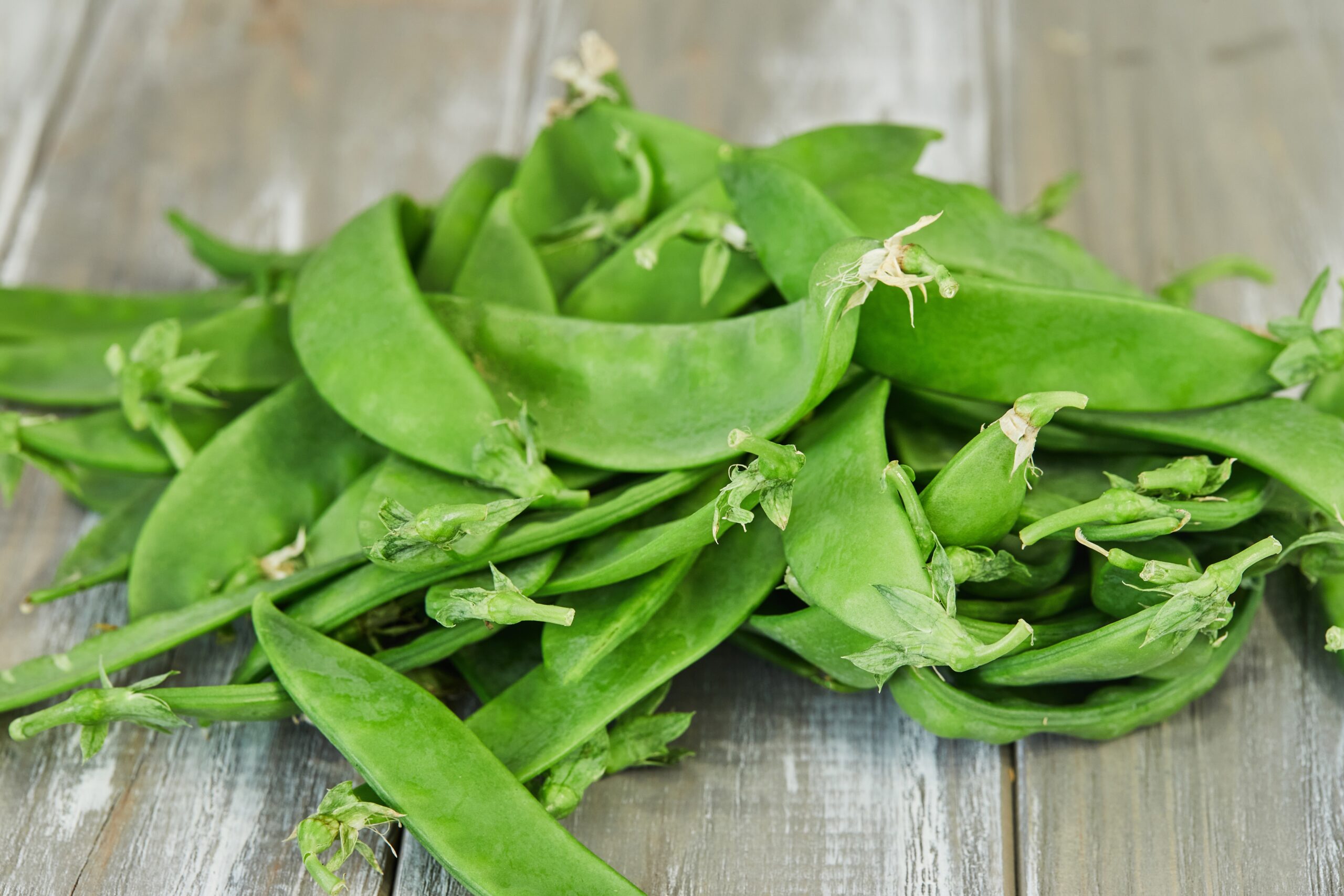 Read more about the article Snow peas