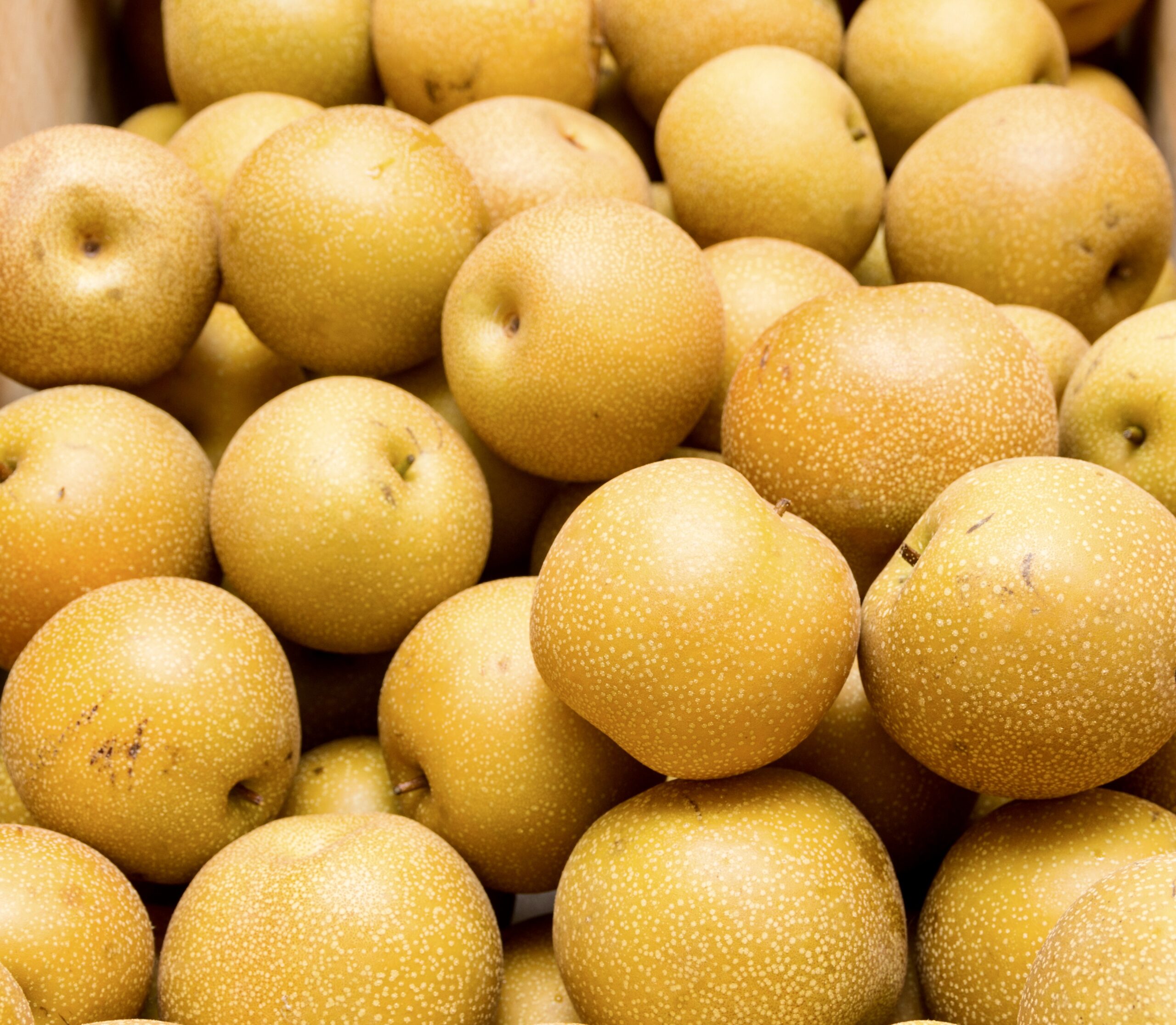 Read more about the article Asian Pears