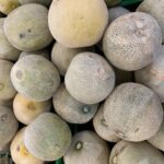 Cantaloupe
