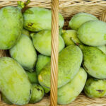 Paw Paws