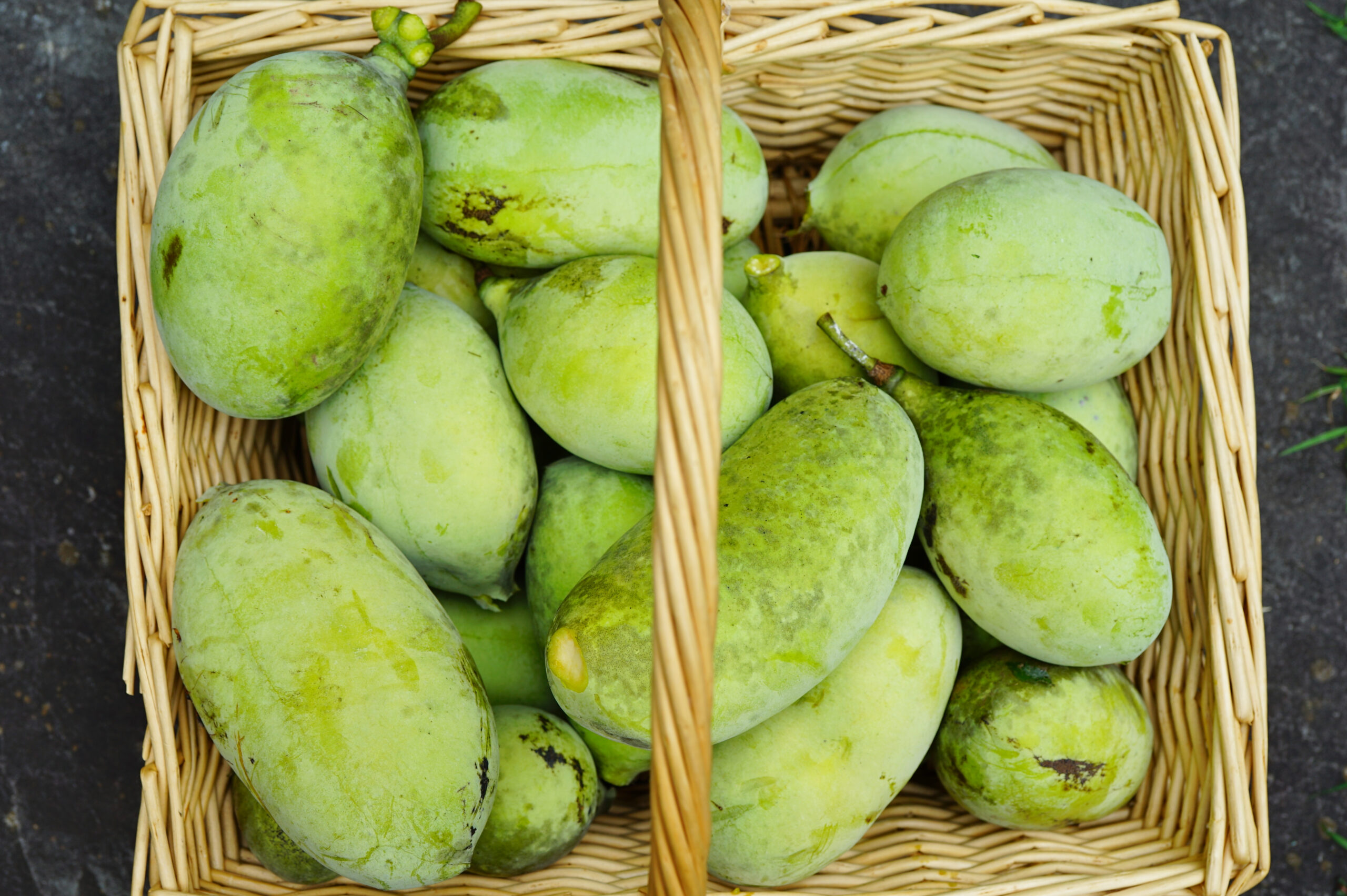 Read more about the article Paw Paws