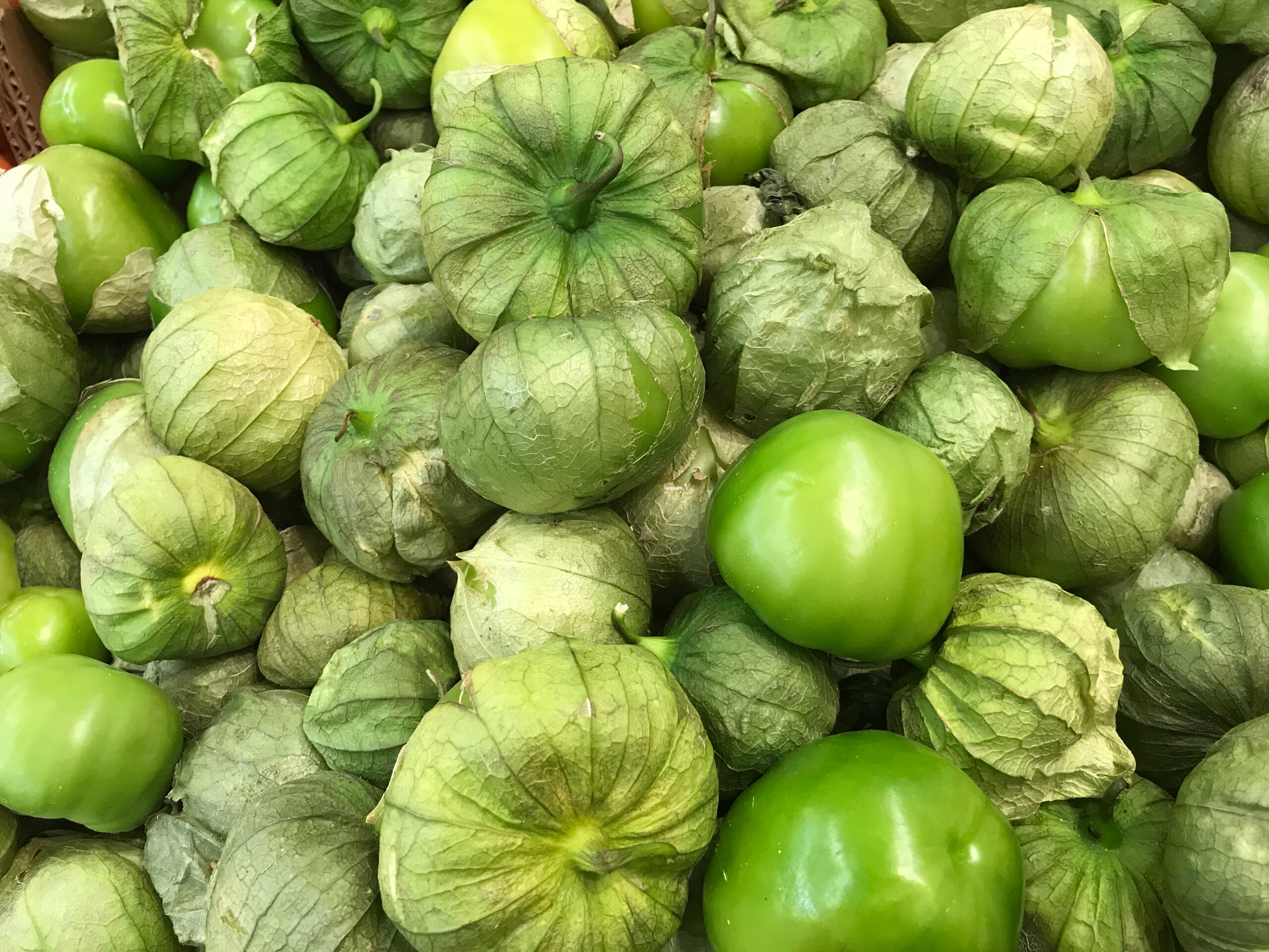 Read more about the article Tomatillos